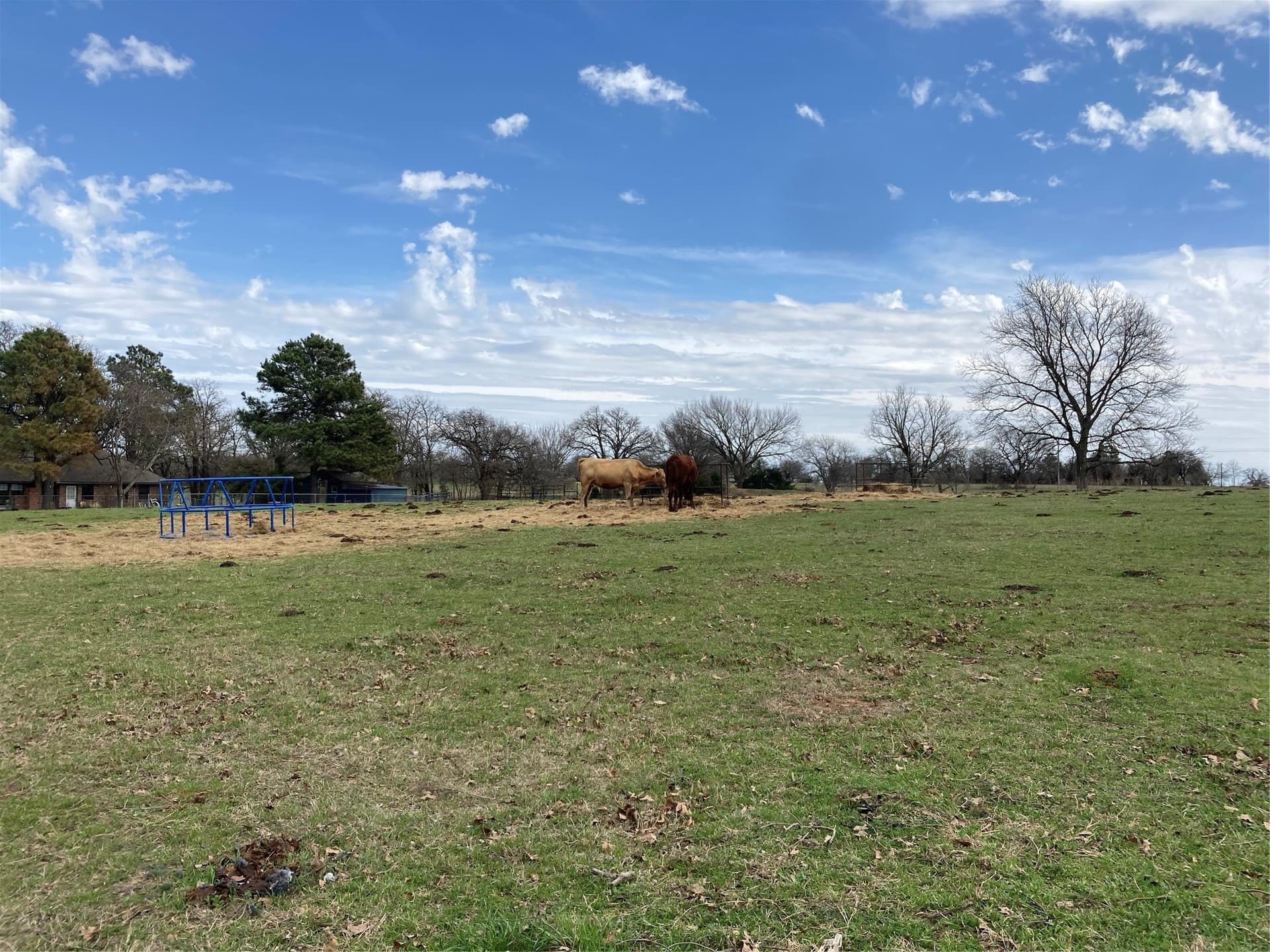 10 acres in Hill County gallery image 3