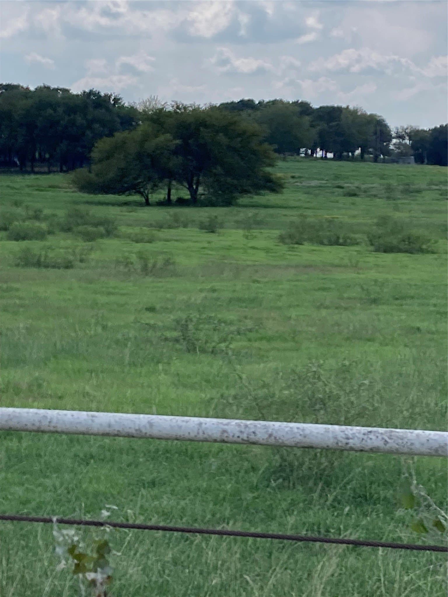 10 acres in Hill County gallery image 4