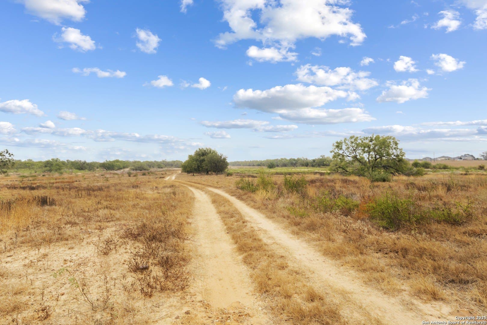 40 acres in Bexar County featured view