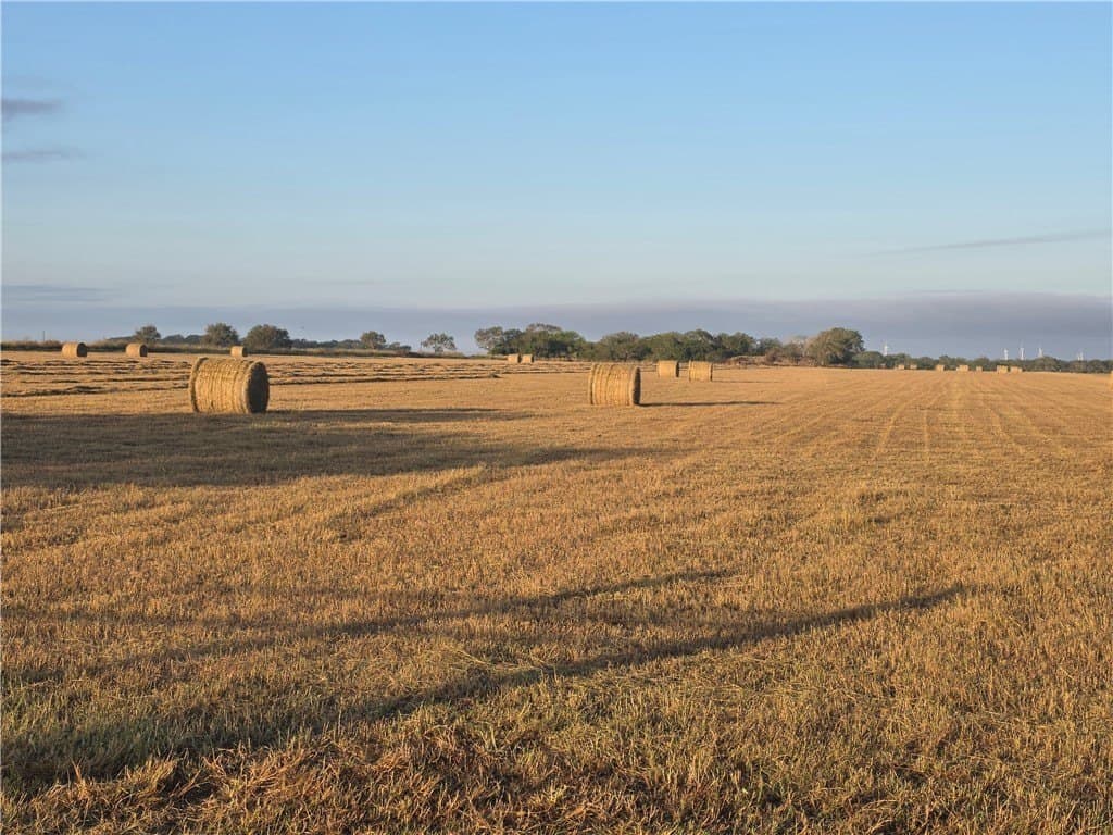 53.51 acres in San Patricio County gallery image 3