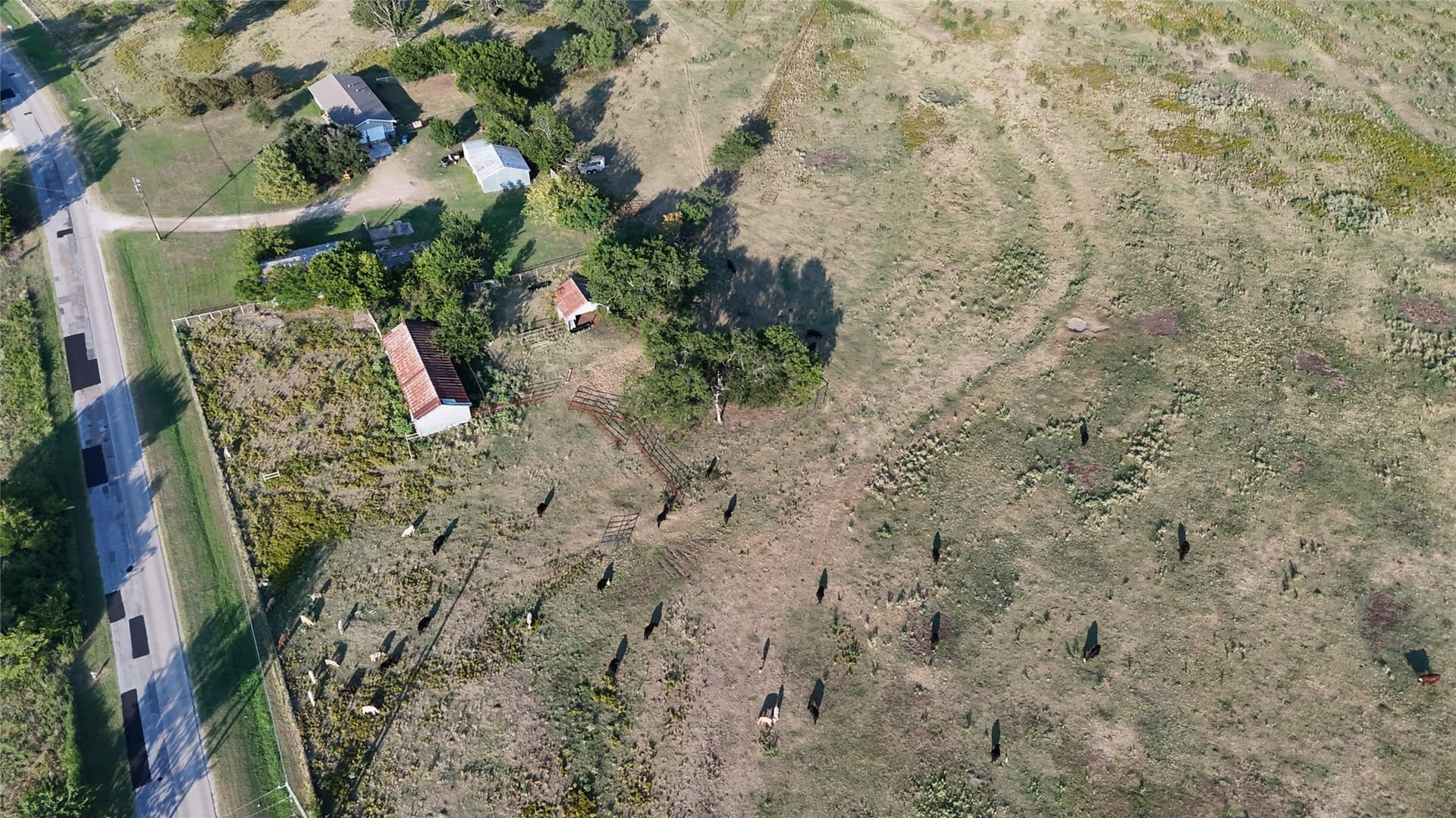 50 acres in Navarro County - photo 4