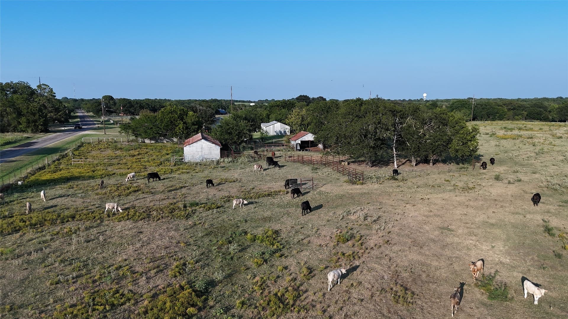50 acres in Navarro County - photo 2
