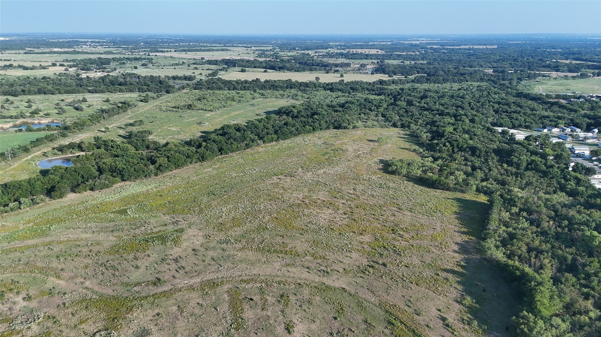 50 acres in Navarro County