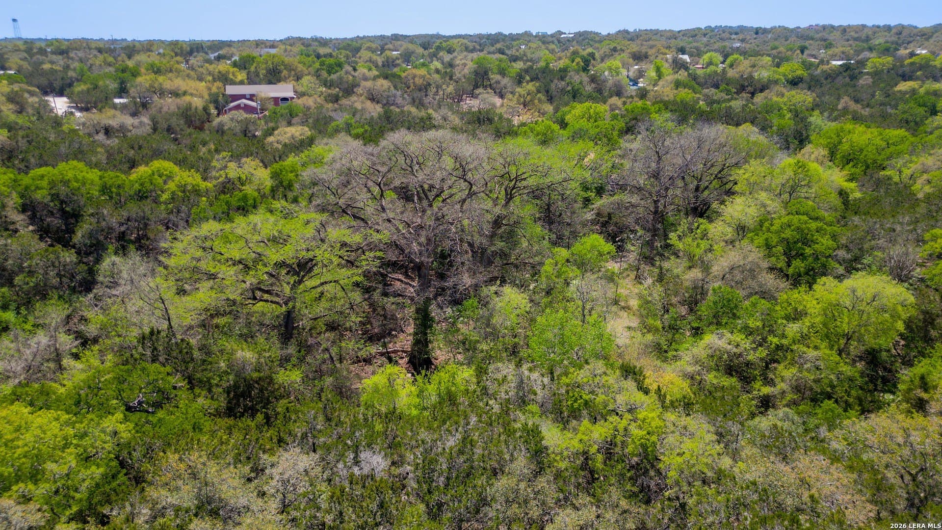 0.52 acres in Comal County - photo 19