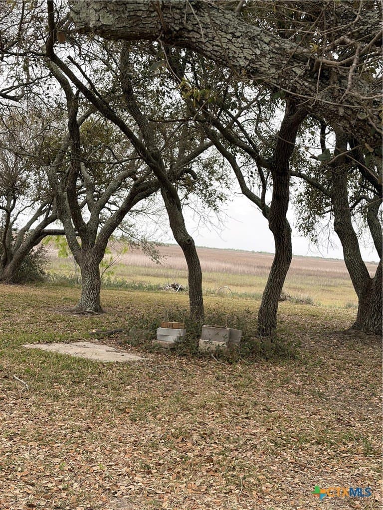 0.14 acres in Calhoun County - photo 9
