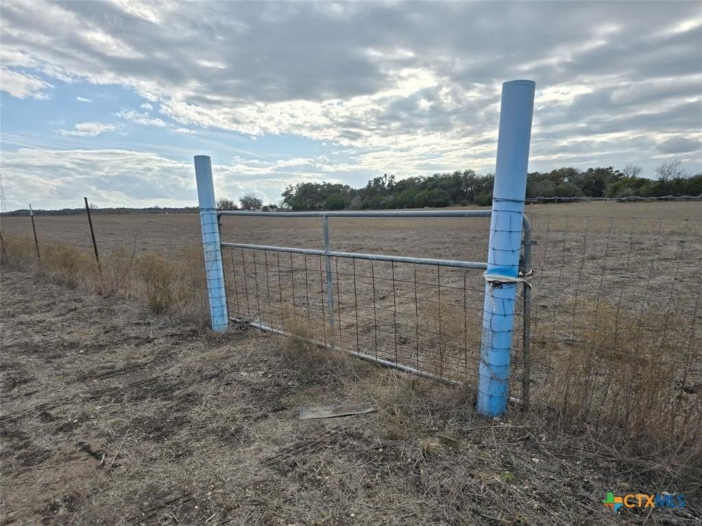 5 acres in Williamson County gallery image 4