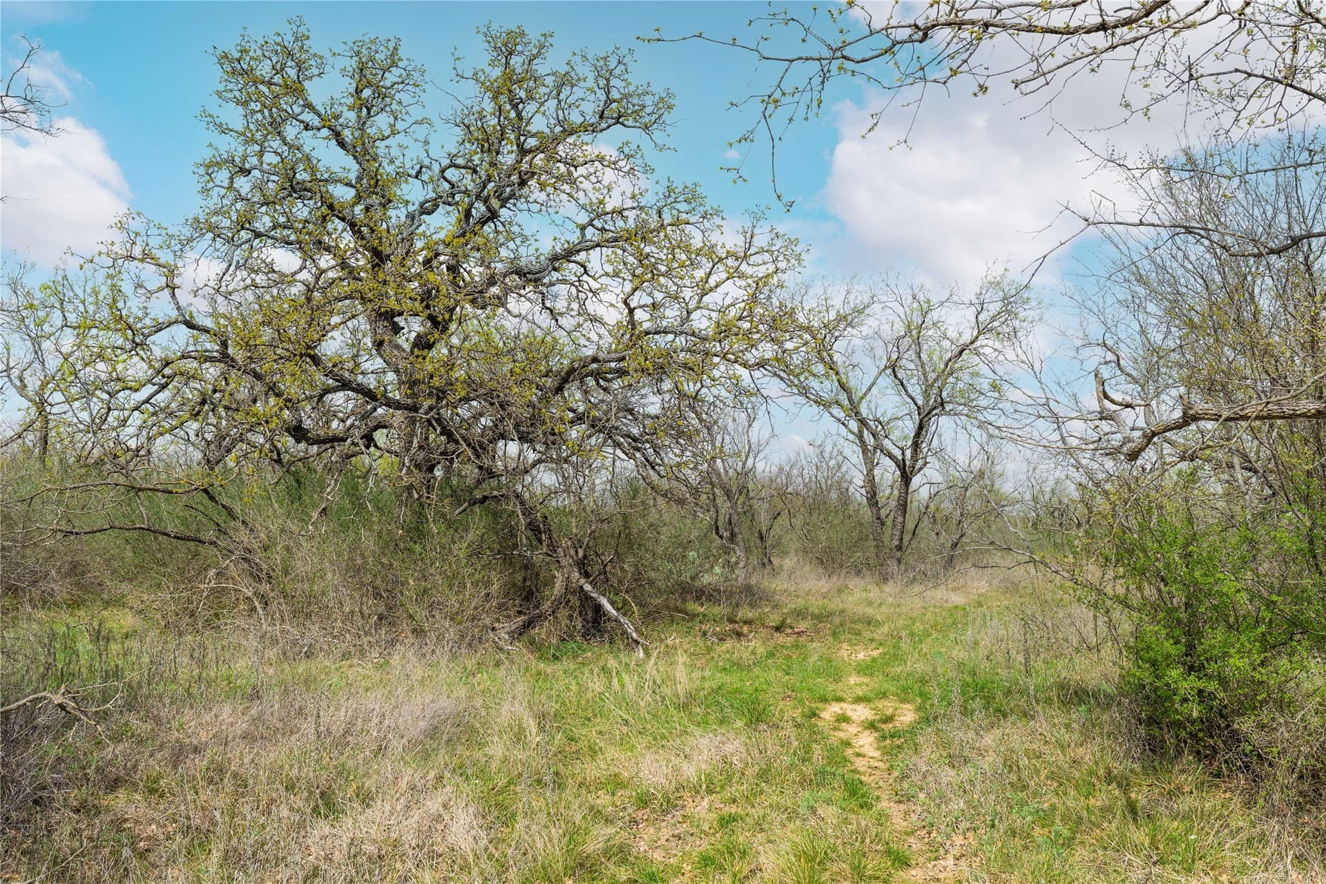10.58 acres in Brown County - photo 33