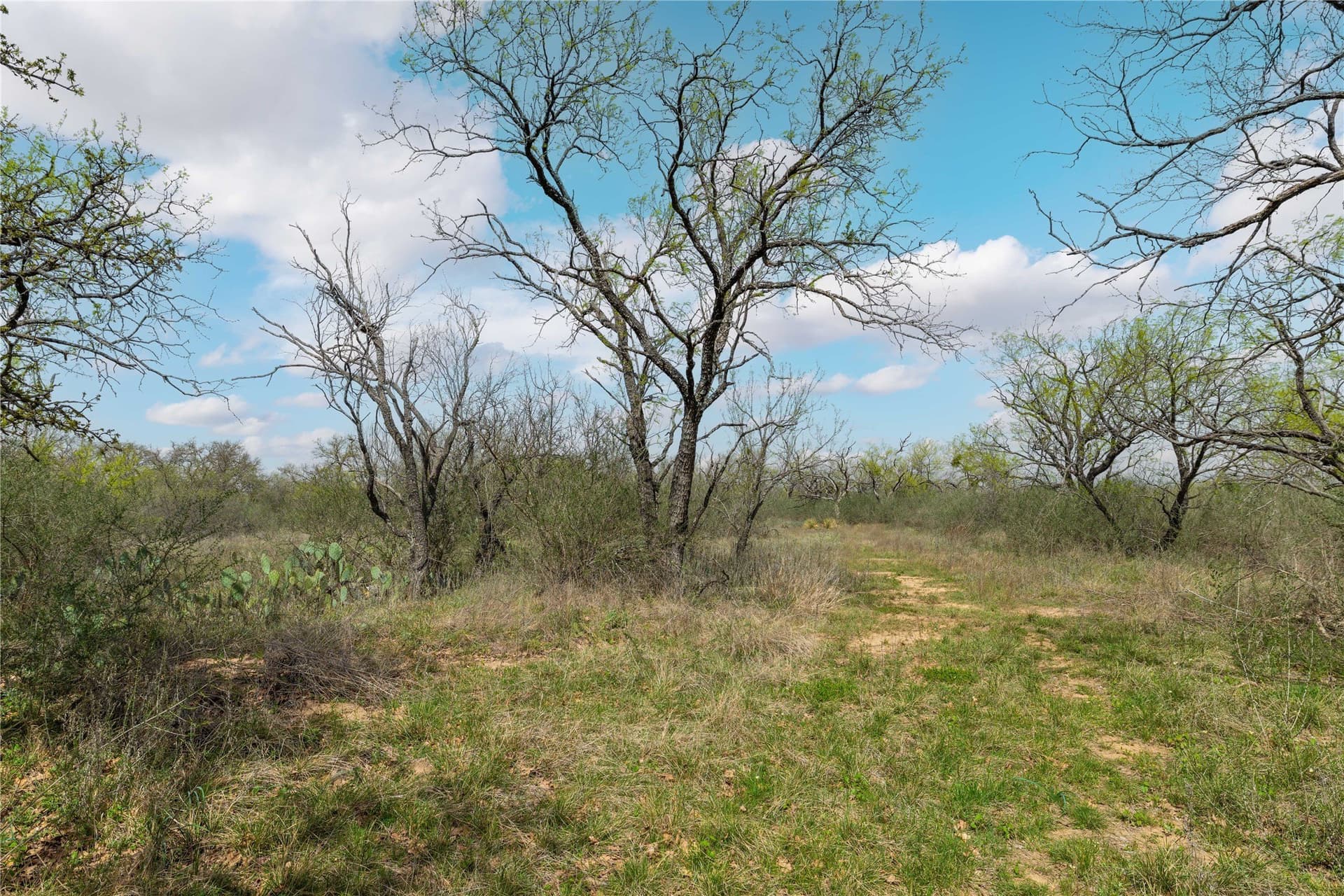 10.58 acres in Brown County - photo 24