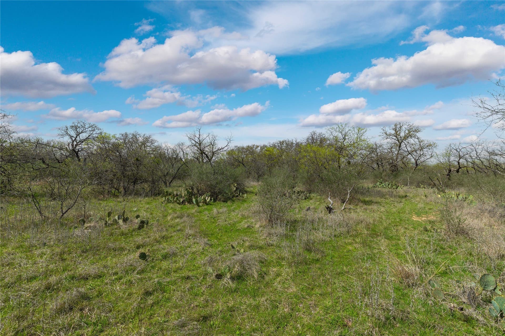 10.58 acres in Brown County - photo 30
