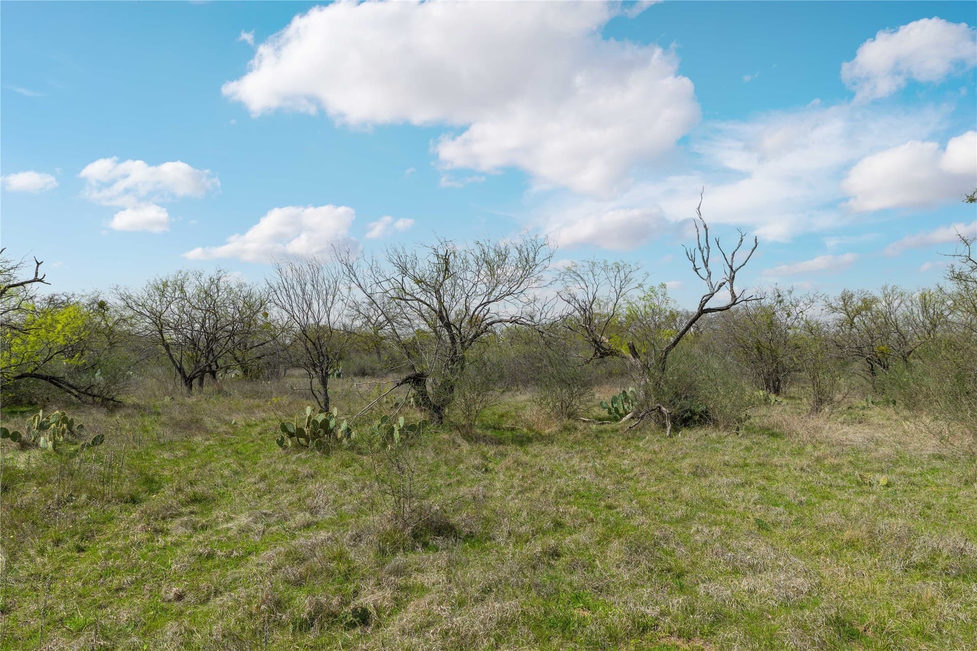 10.58 acres in Brown County - photo 23