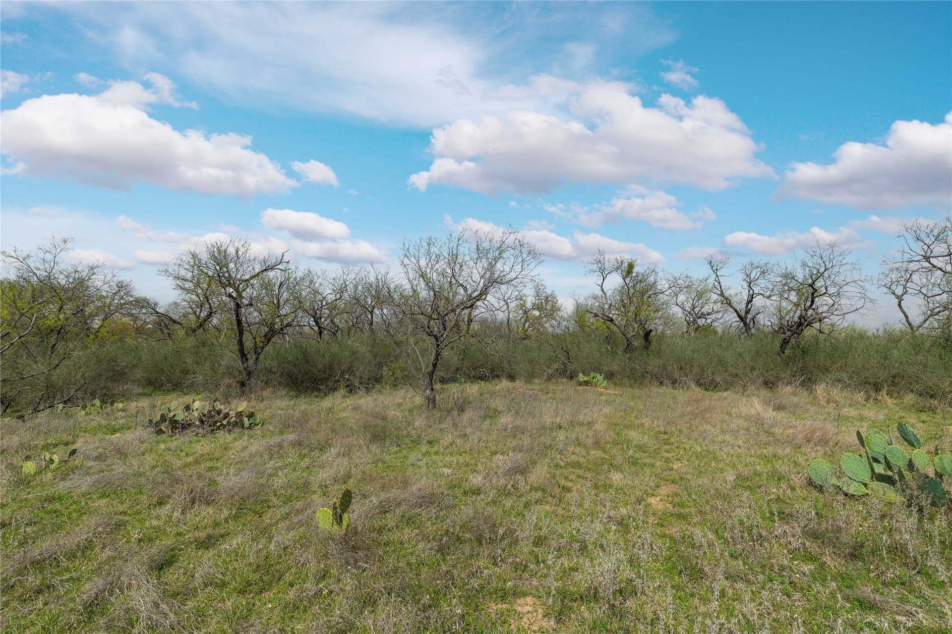 10.58 acres in Brown County - photo 32