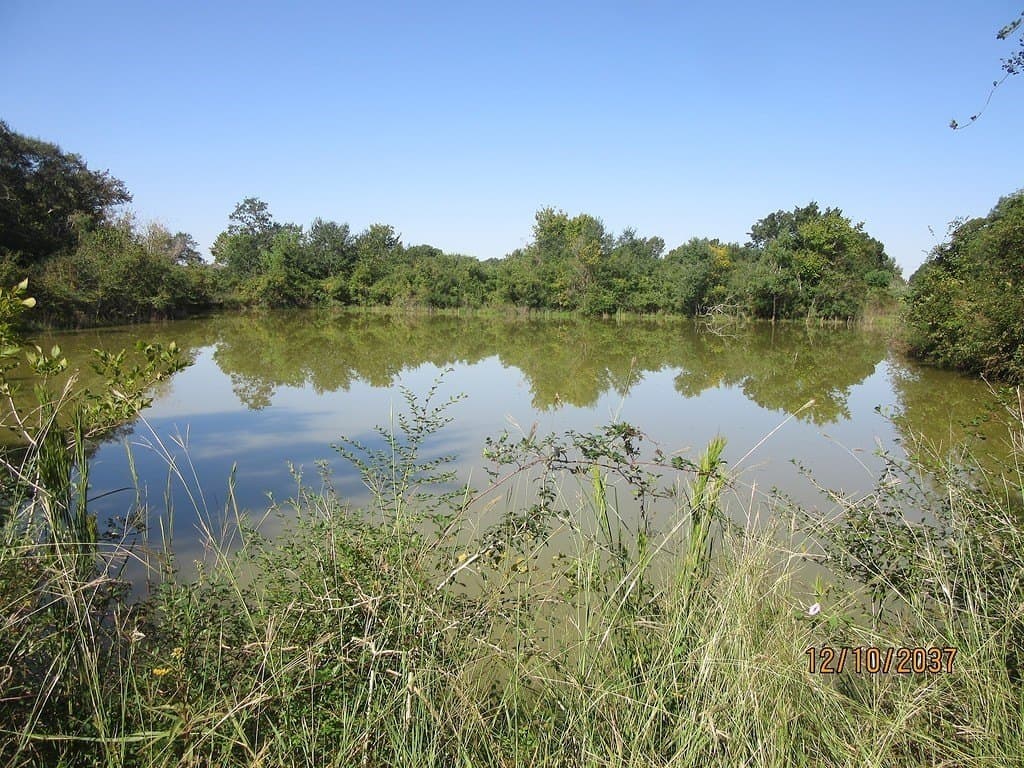 48.6 acres in Harris County gallery image 4