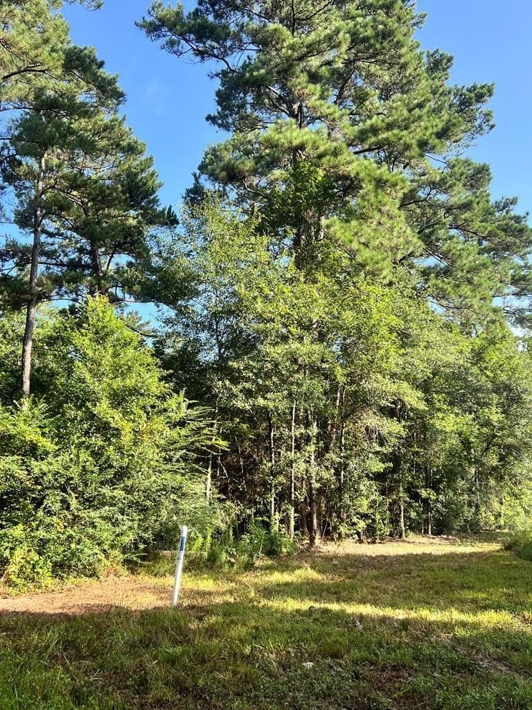 12 acres in Texas County - photo 11