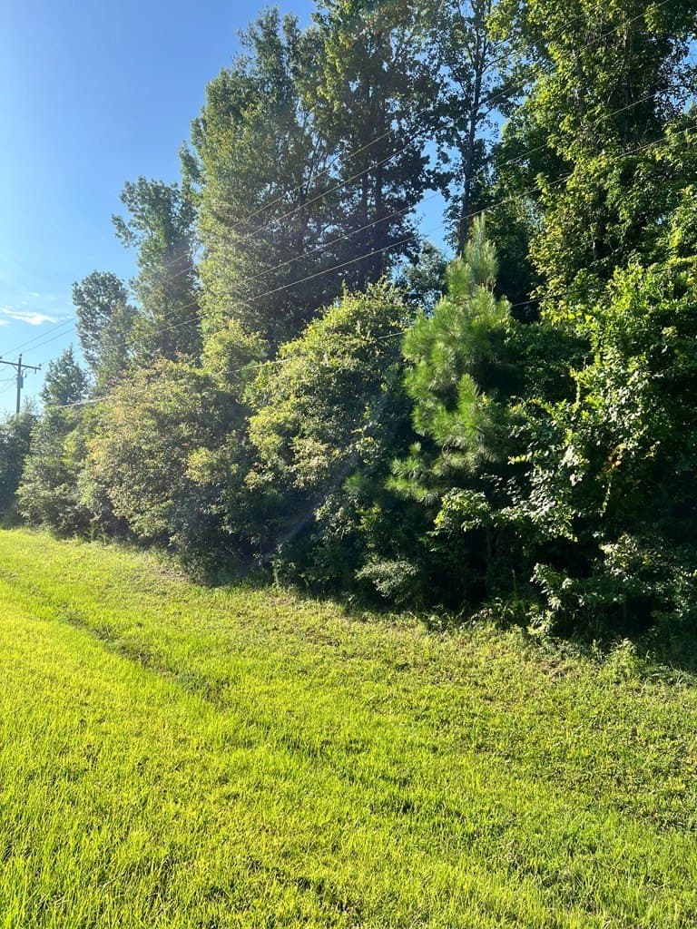 12 acres in Texas County gallery image 4