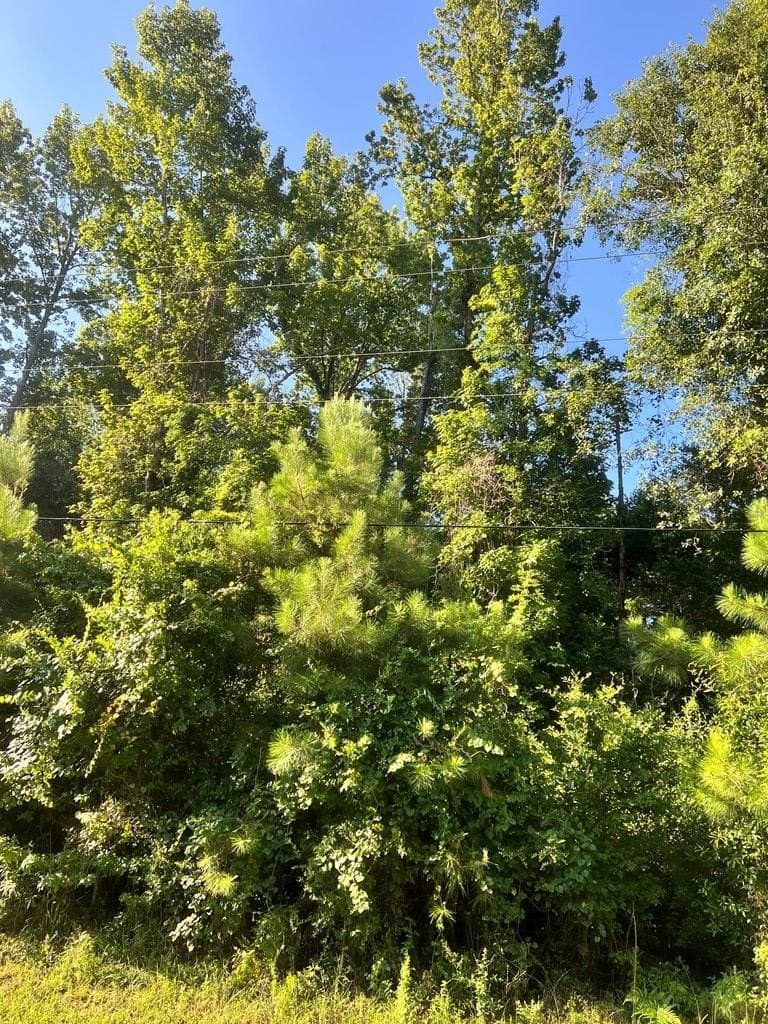 12 acres in Texas County