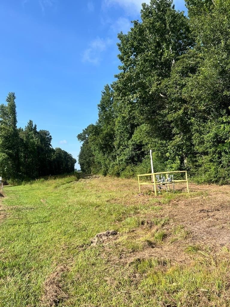 12 acres in Texas County - photo 6