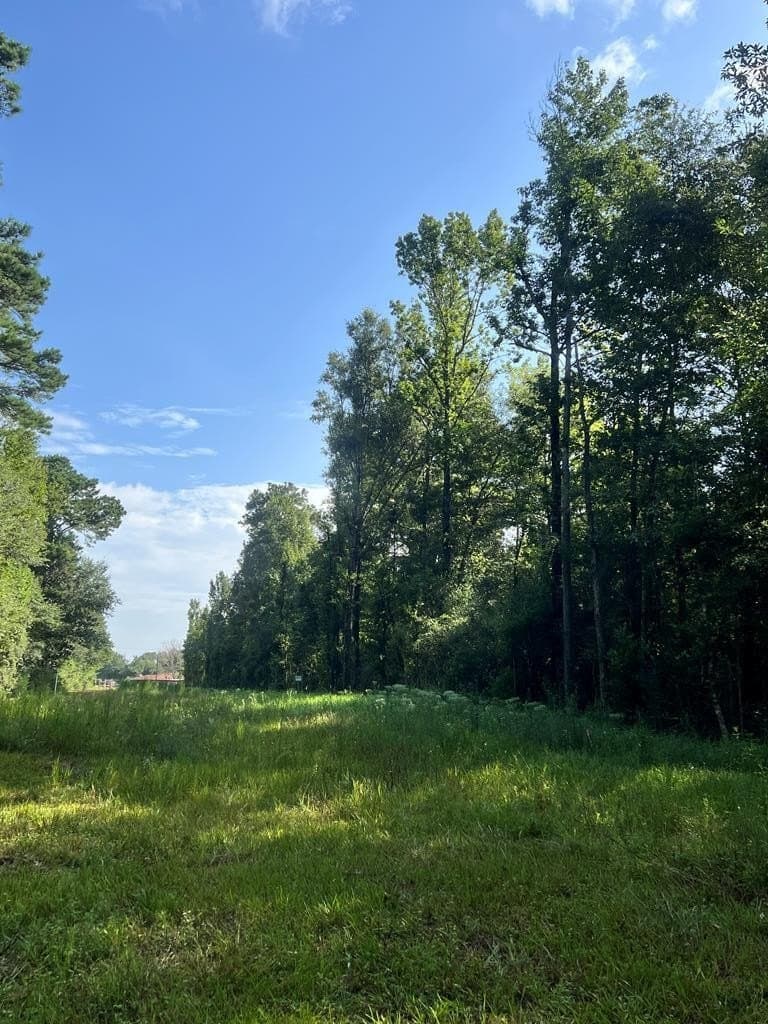 12 acres in Texas County - photo 9