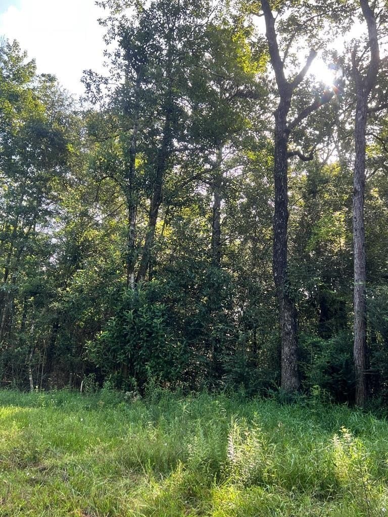 12 acres in Texas County - photo 10