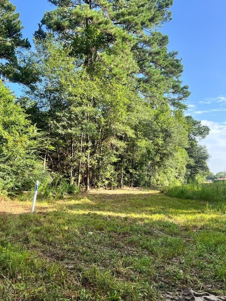 12 acres in Texas County - photo 8
