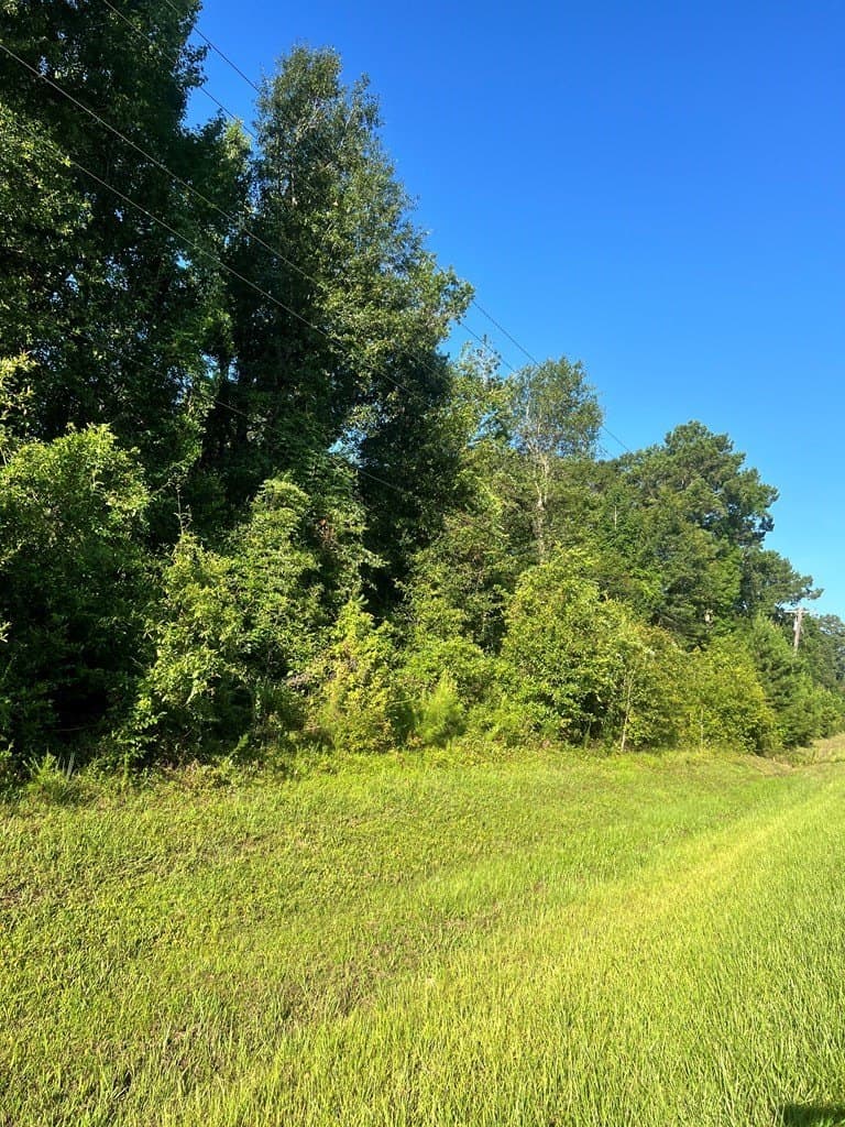 12 acres in Texas County gallery image 3