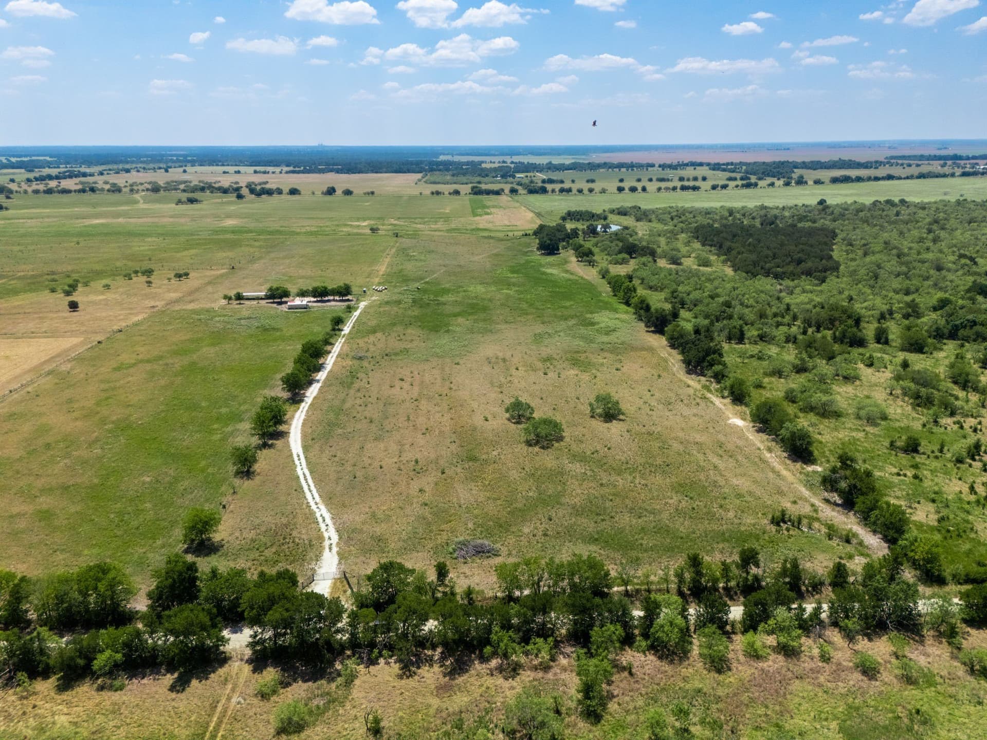 34.55 acres in Falls County gallery image 3