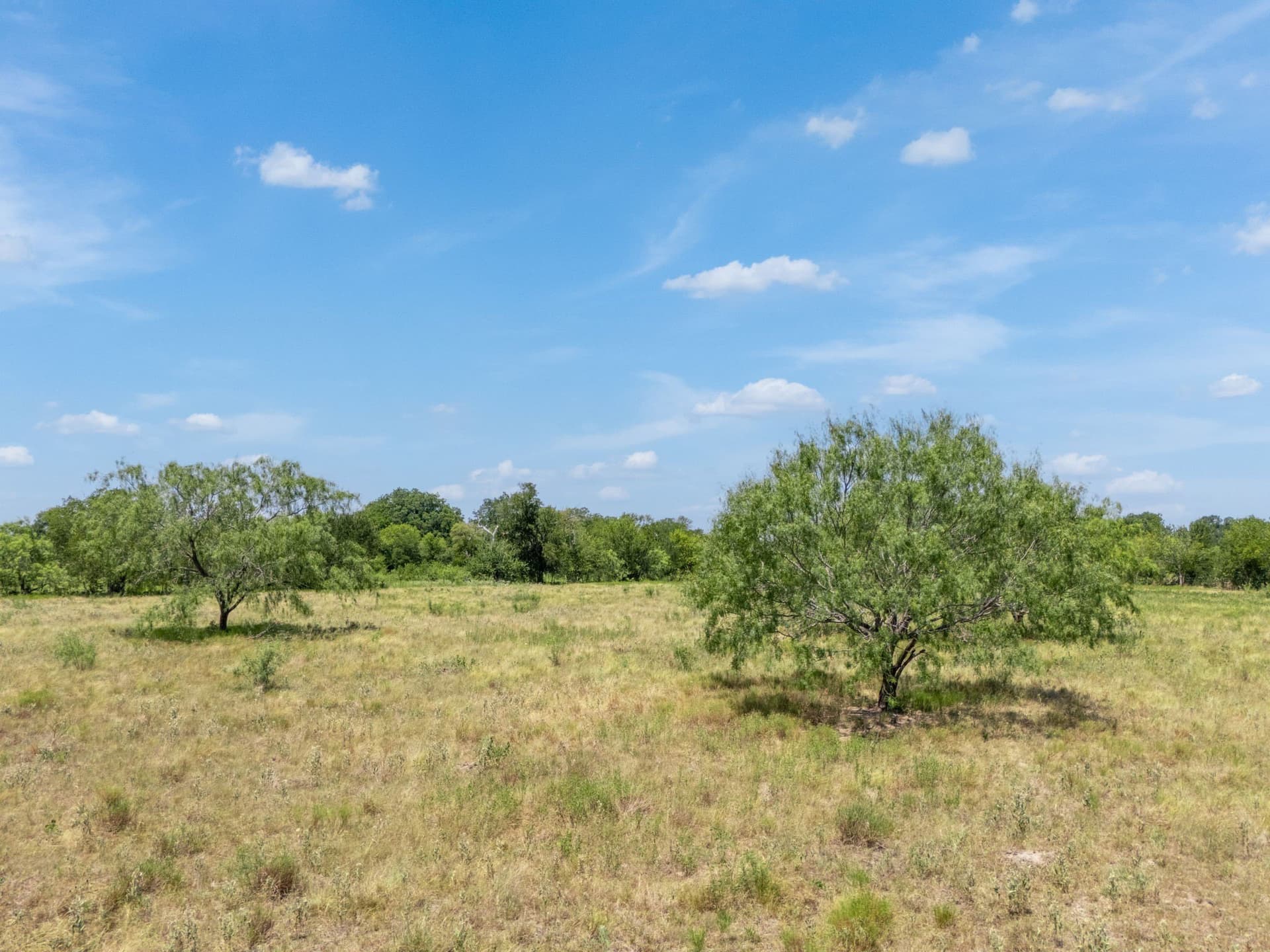 34.55 acres in Falls County - photo 22