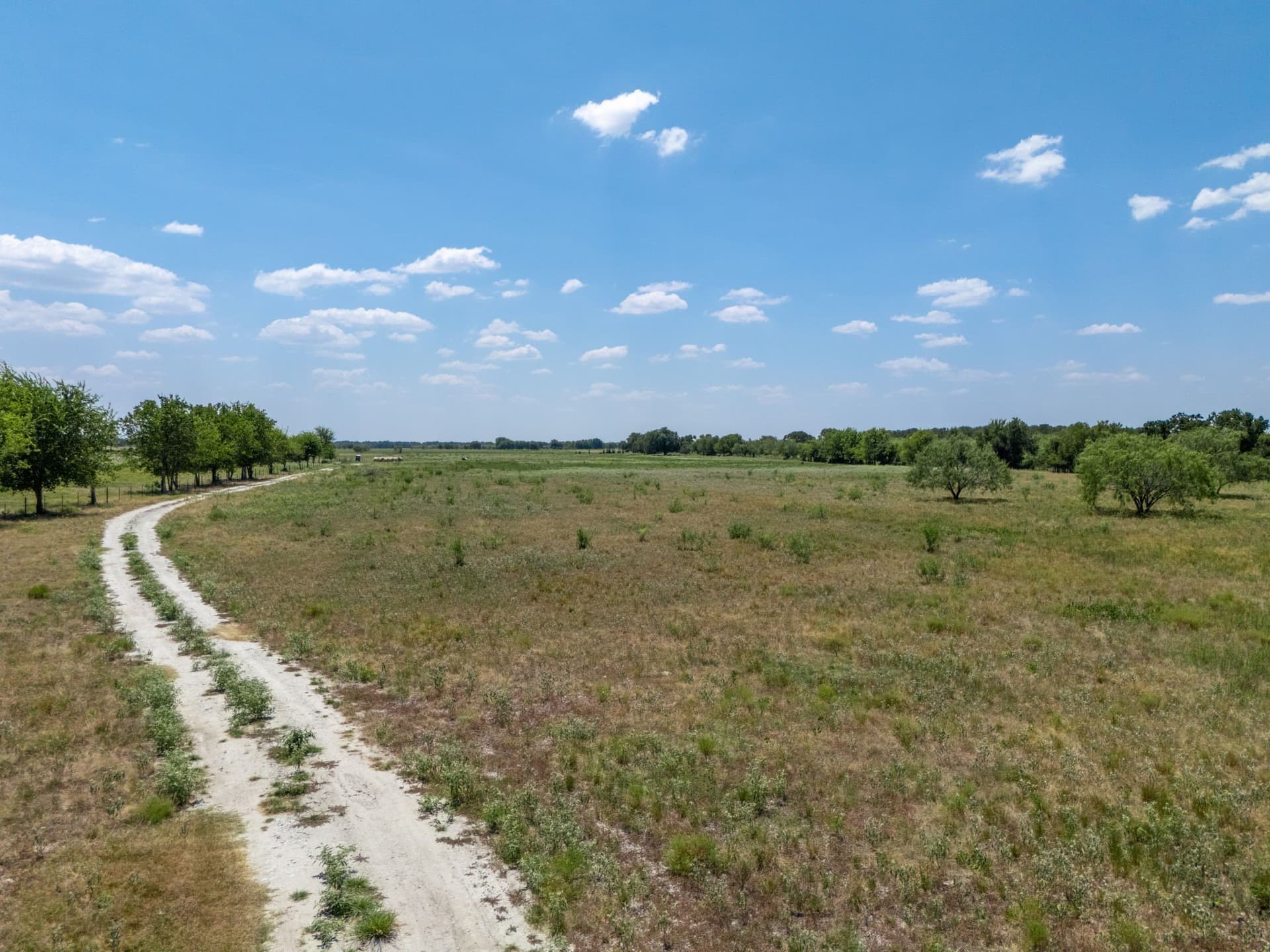 34.55 acres in Falls County featured view