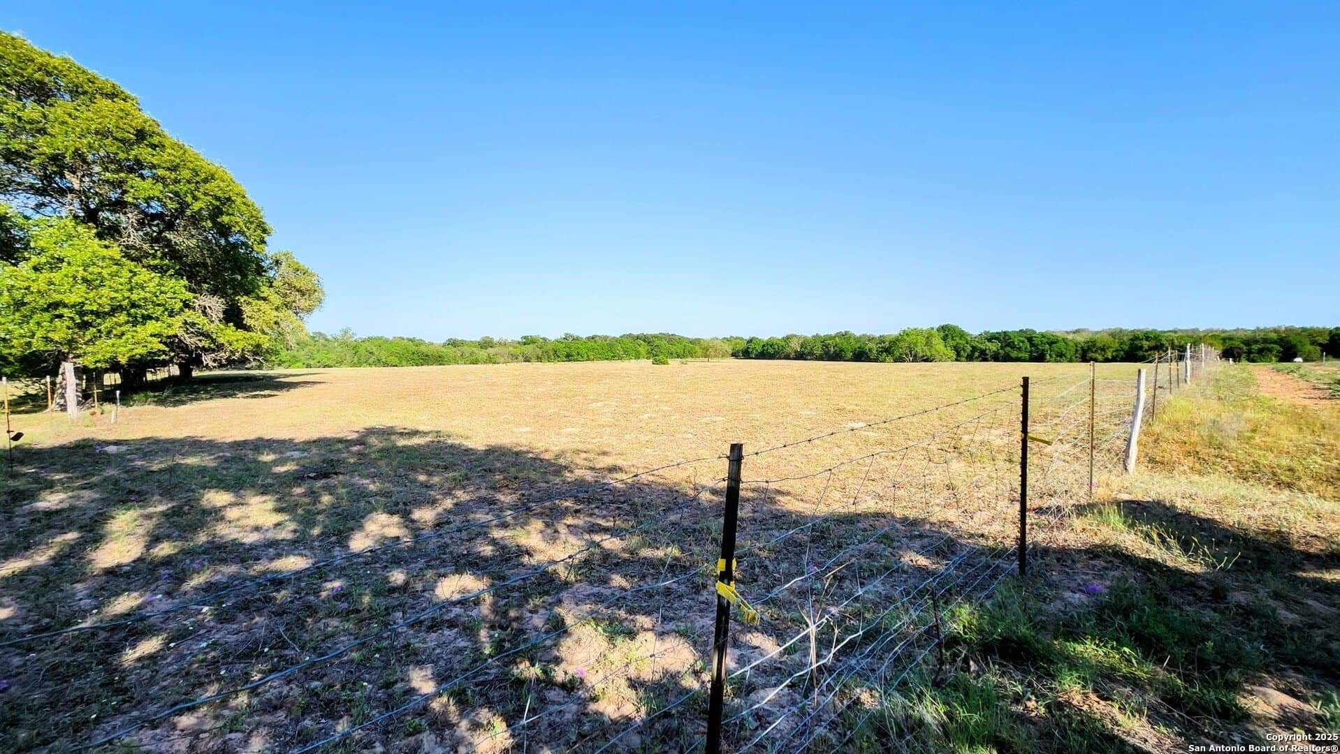 55 acres in Guadalupe County gallery image 3