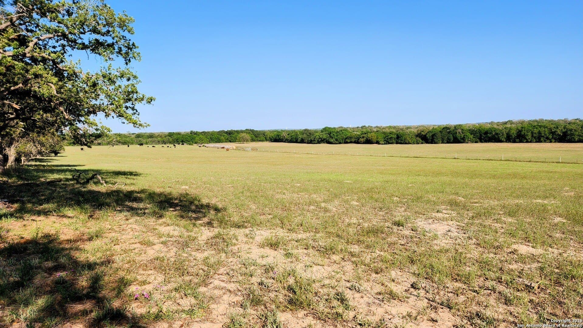 55 acres in Guadalupe County gallery image 2