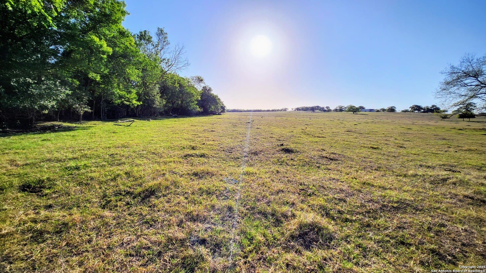 55 acres in Guadalupe County - photo 9