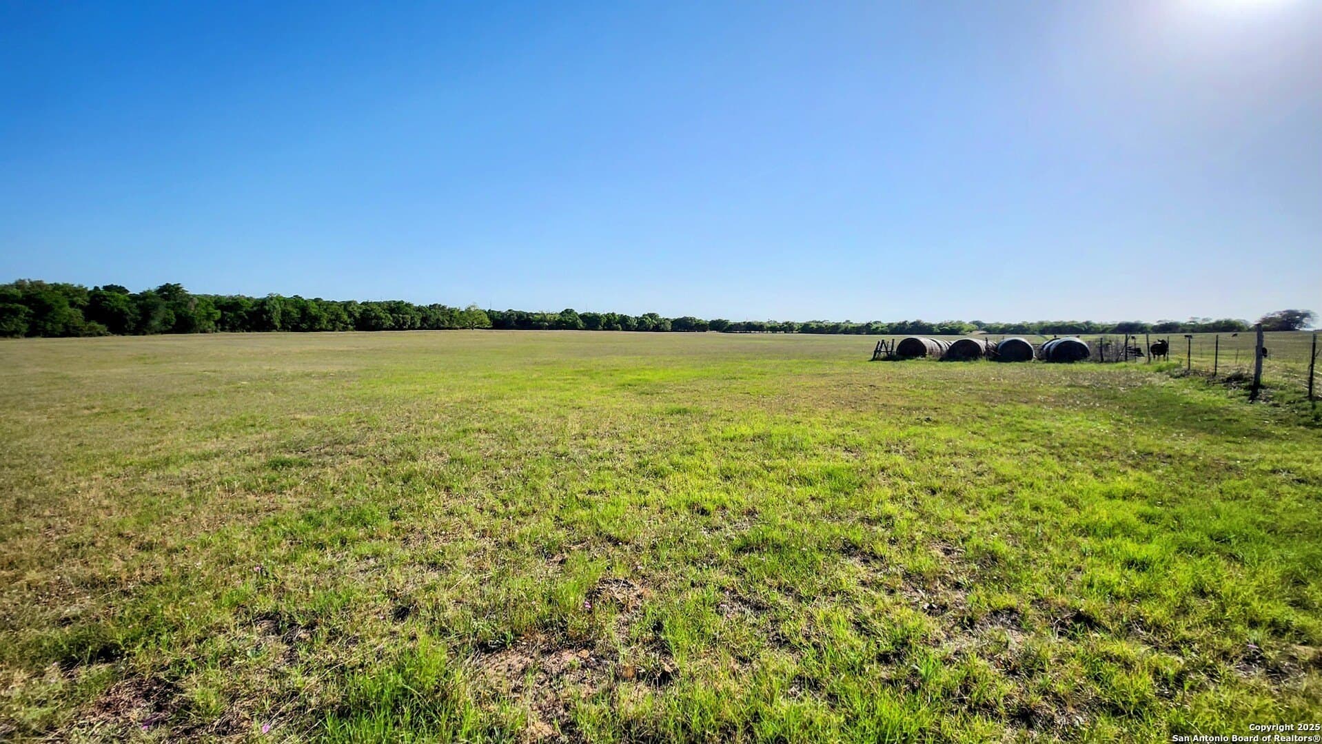 55 acres in Guadalupe County gallery image 4