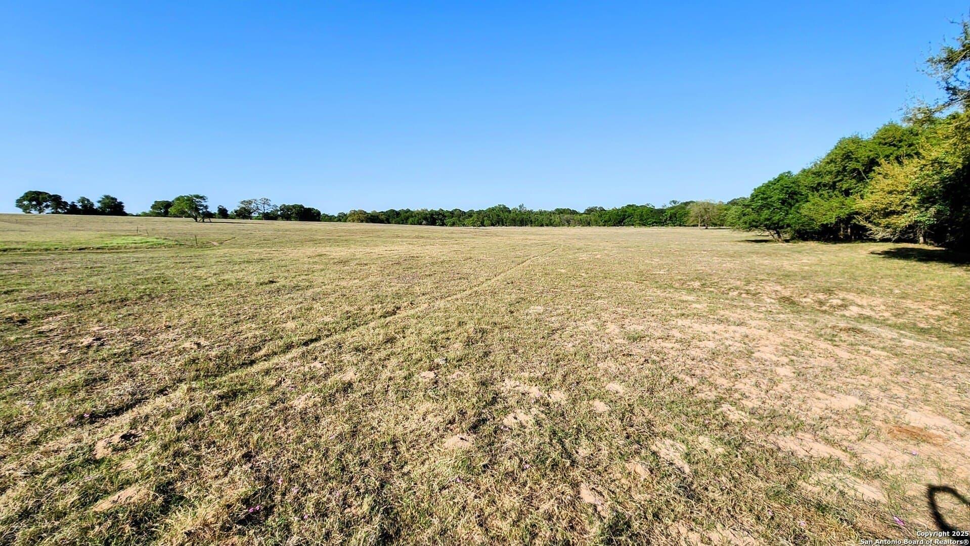 55 acres in Guadalupe County - photo 8