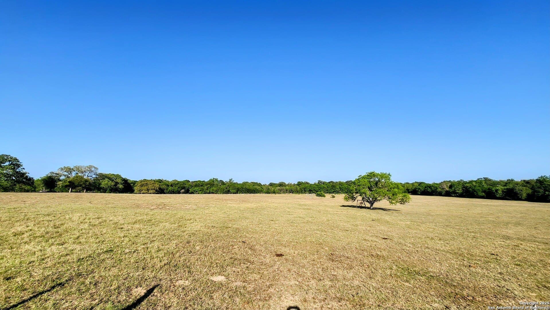55 acres in Guadalupe County featured view