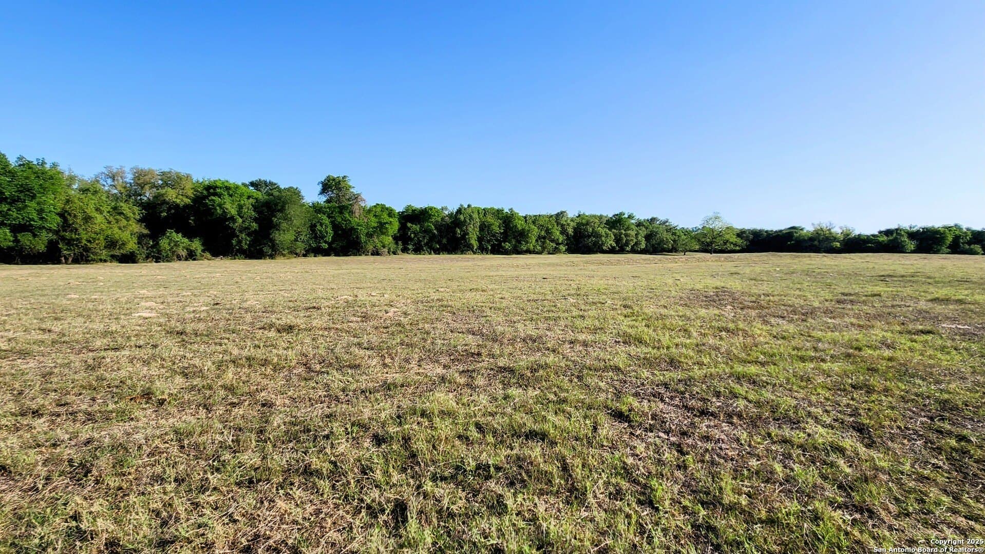 55 acres in Guadalupe County - photo 7