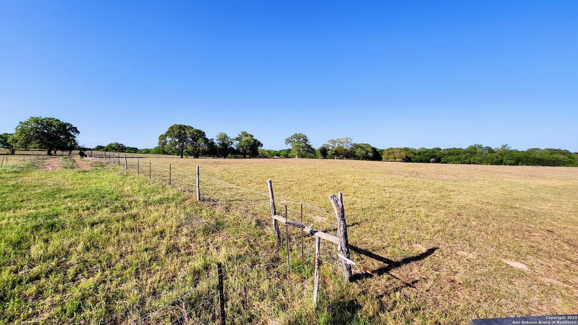 55 acres in Guadalupe County - photo 6
