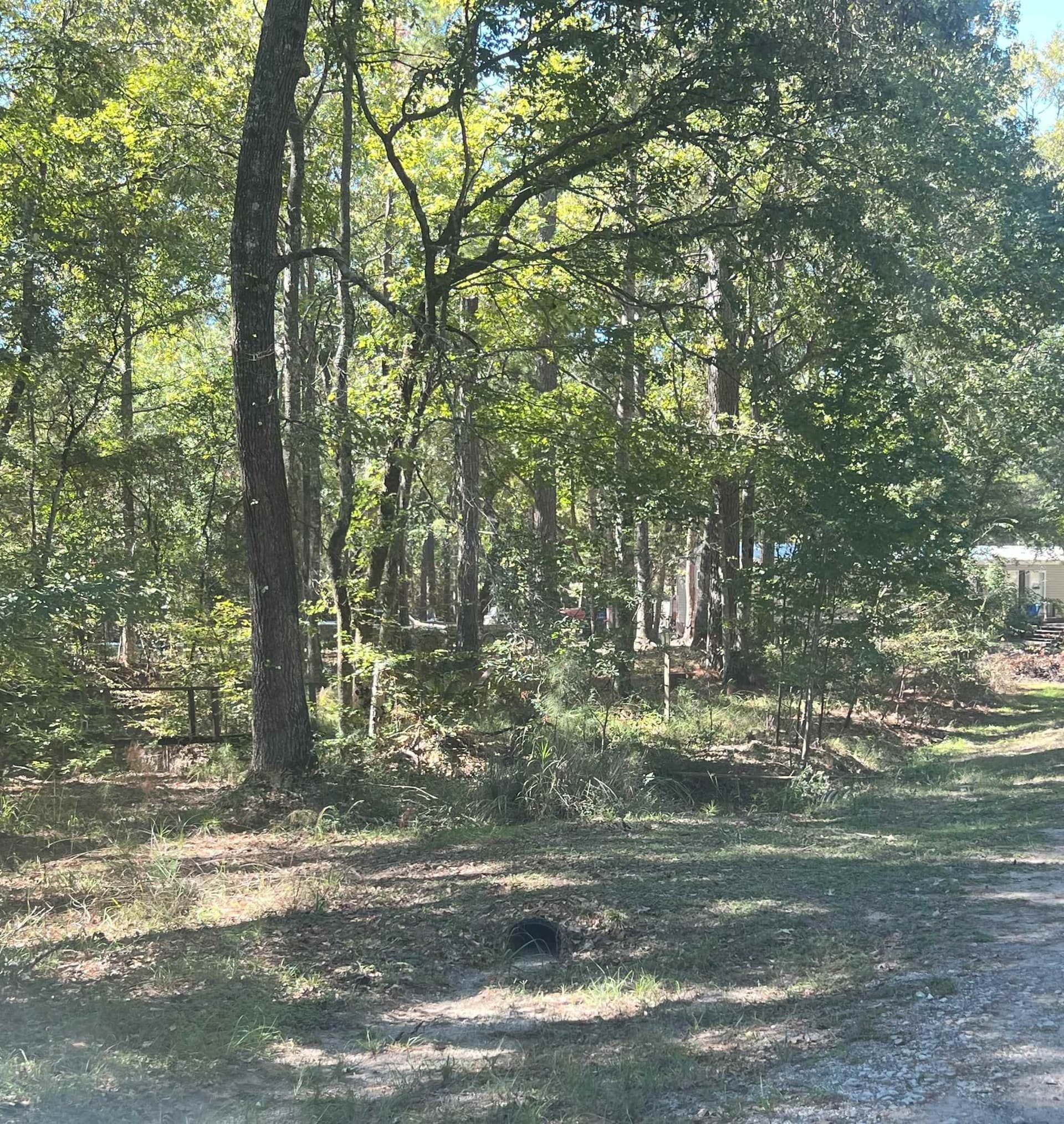 0.62 acres in Texas County gallery image 2