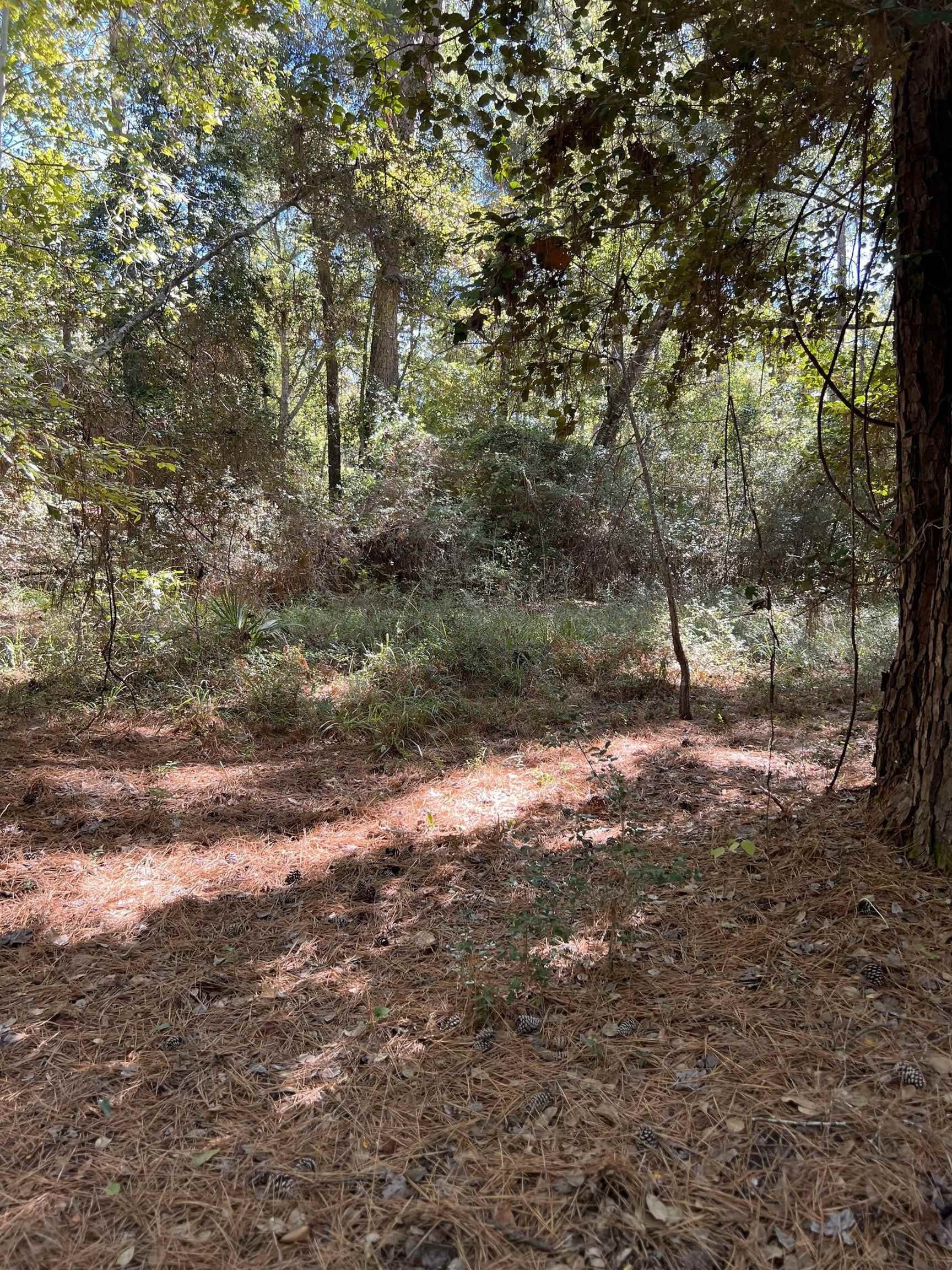 0.62 acres in Texas County gallery image 3