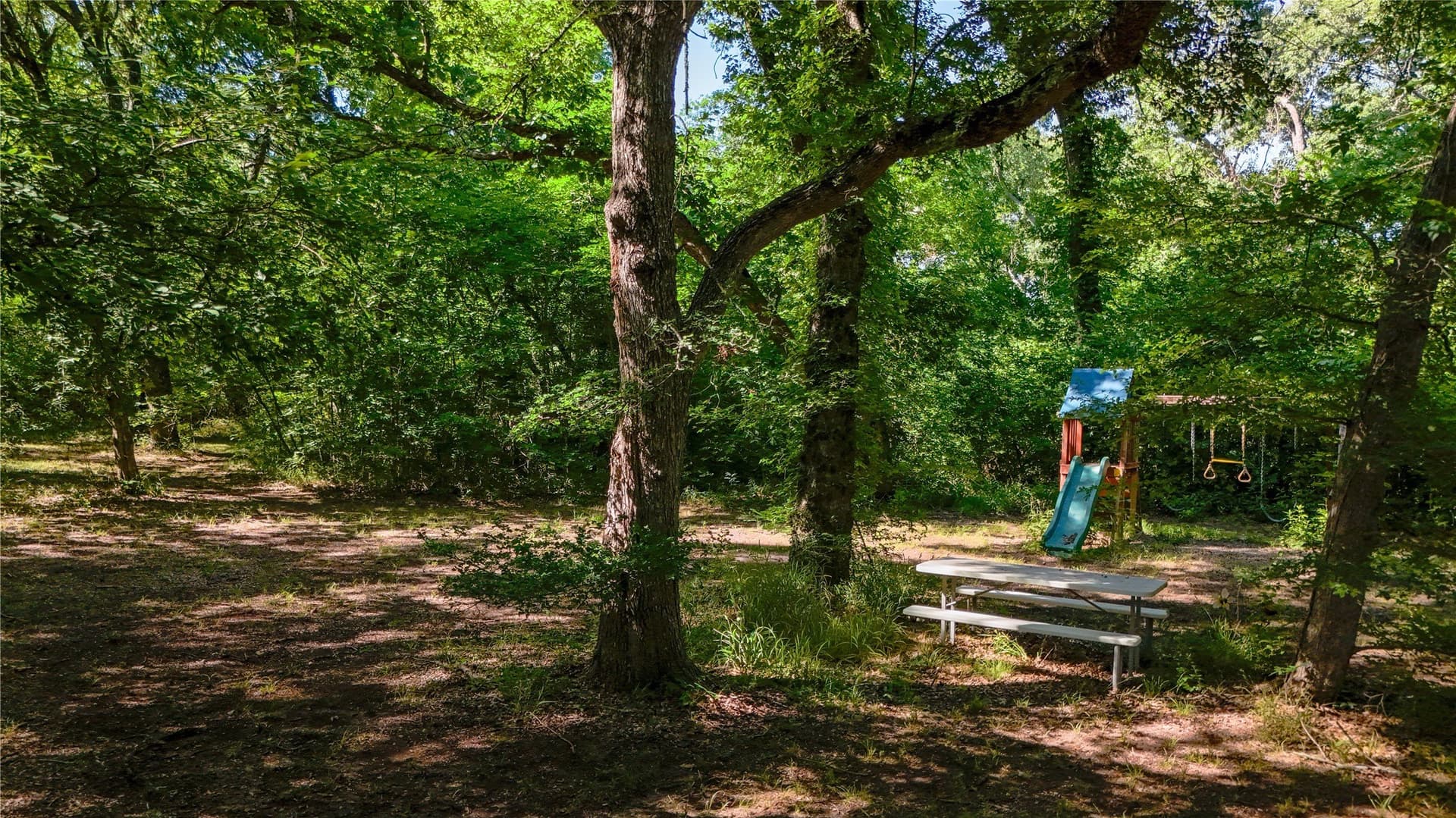 10.34 acres in Collin County - photo 35