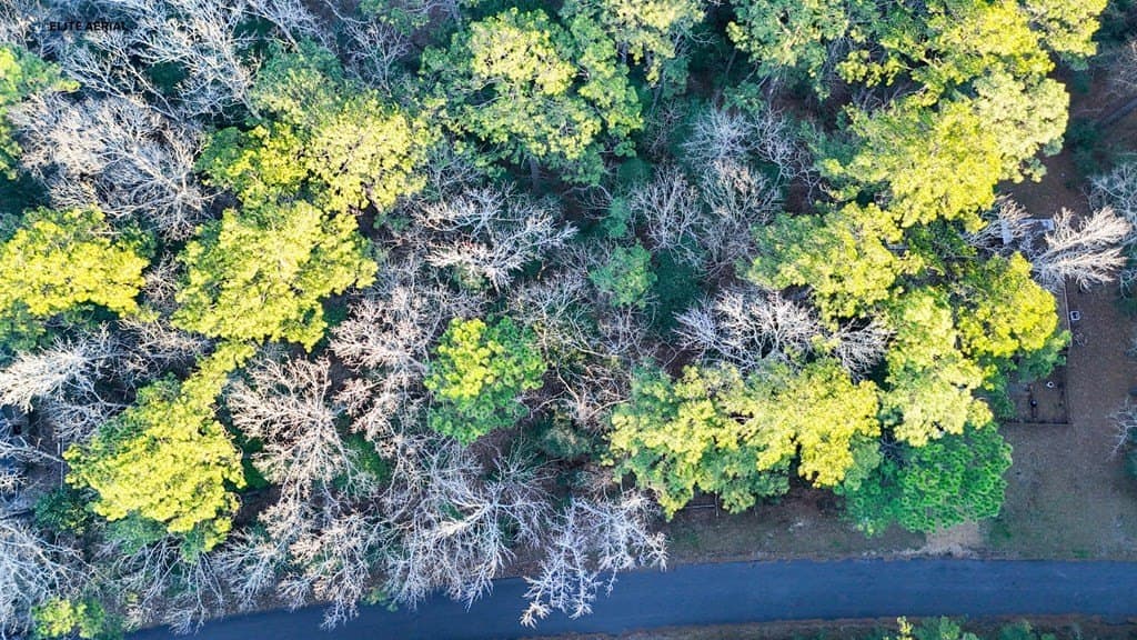 0.24 acres in Texas County featured view