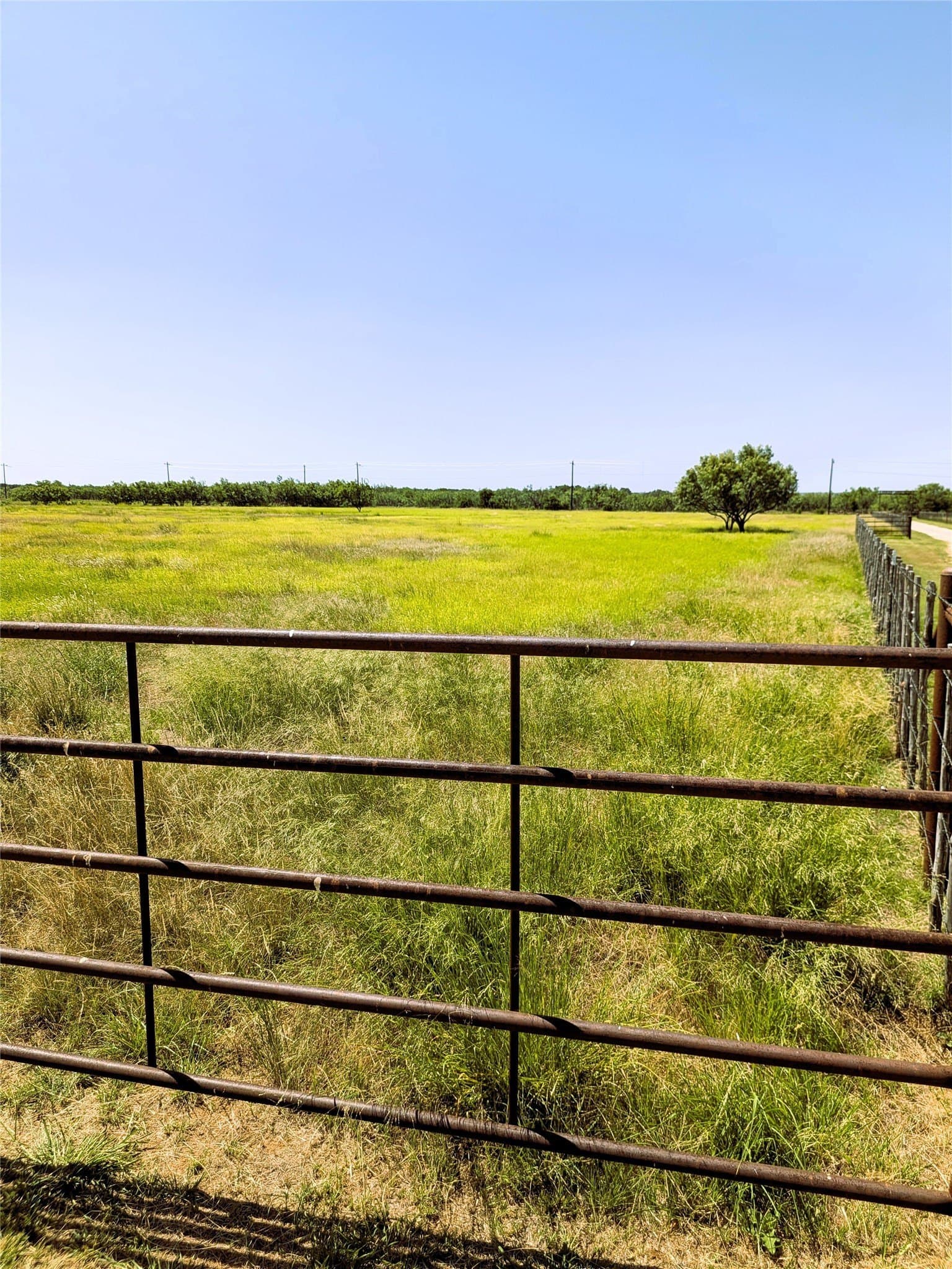 20 acres in Callahan County - photo 40