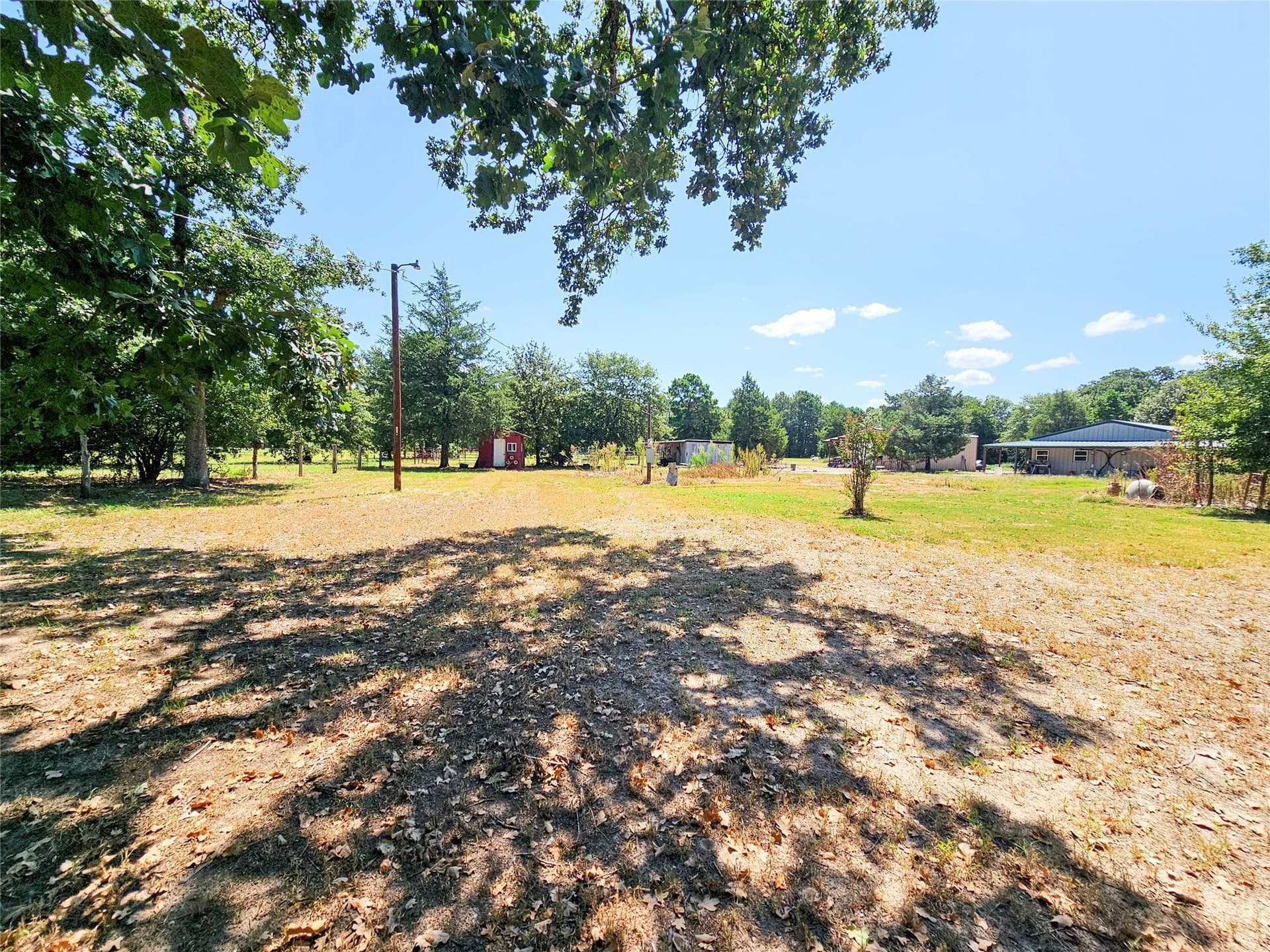 30 acres in Wood County - photo 25