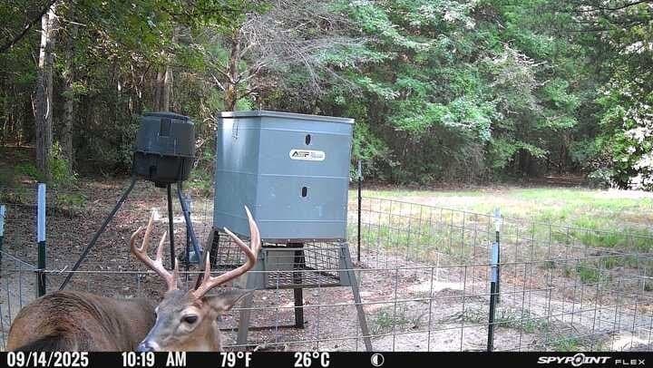 30 acres in Wood County - photo 34