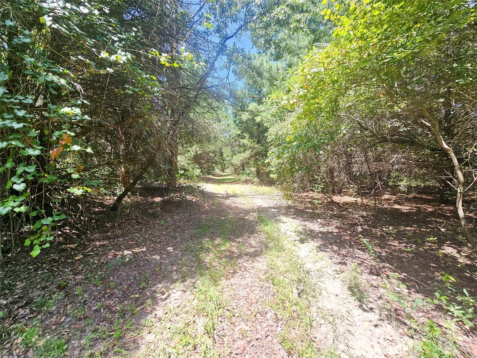 30 acres in Wood County - photo 26