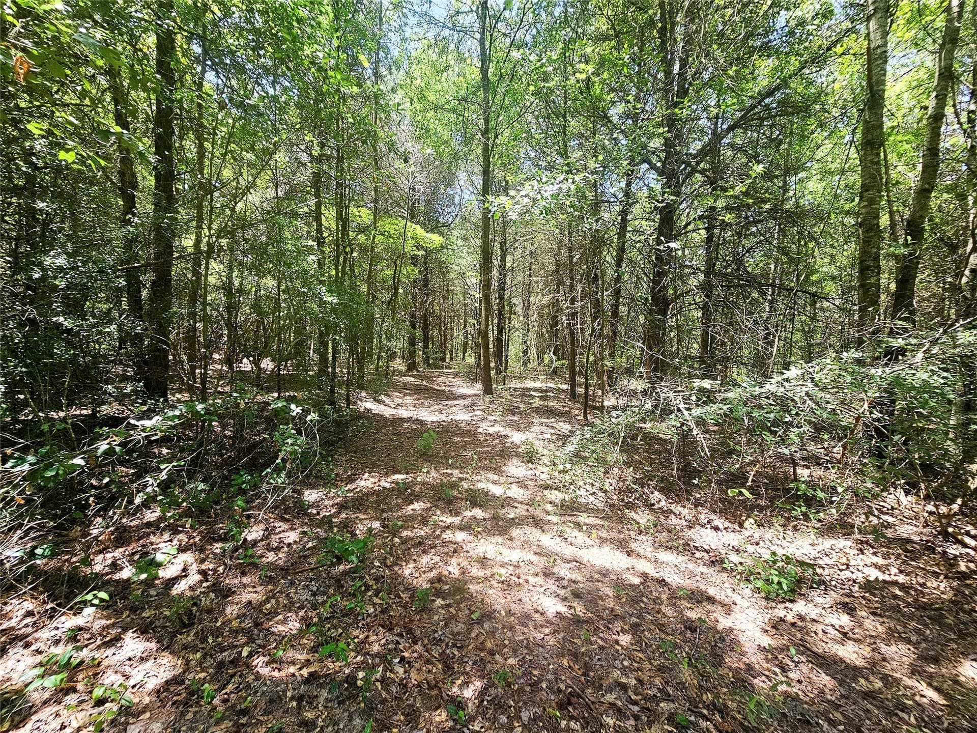 30 acres in Wood County - photo 27