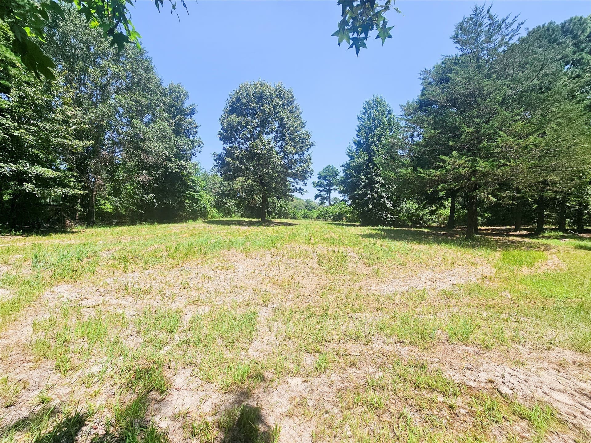 30 acres in Wood County - photo 31