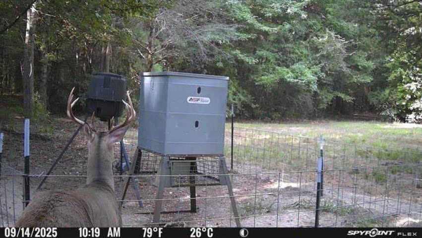 30 acres in Wood County - photo 35
