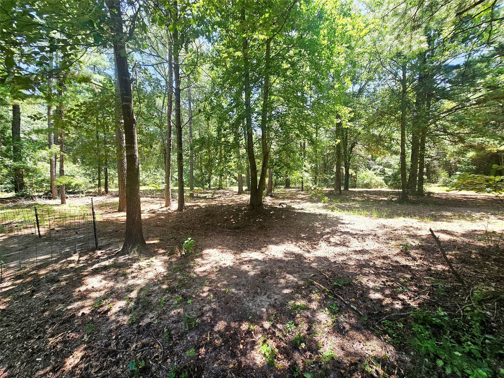 30 acres in Wood County - photo 30