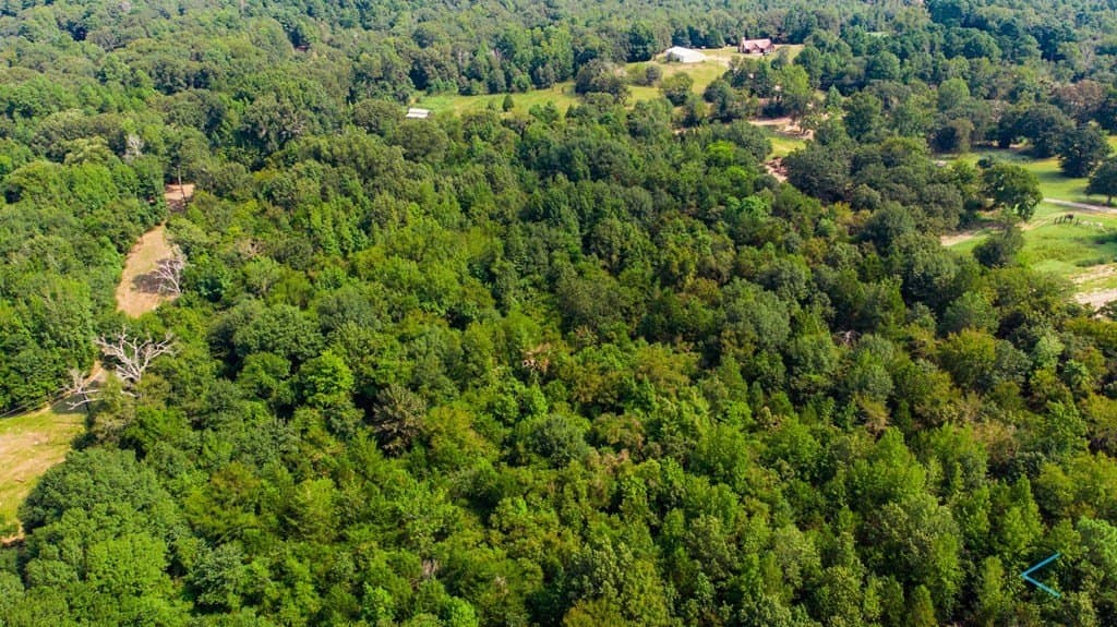 43.53 acres in Henderson County - photo 6