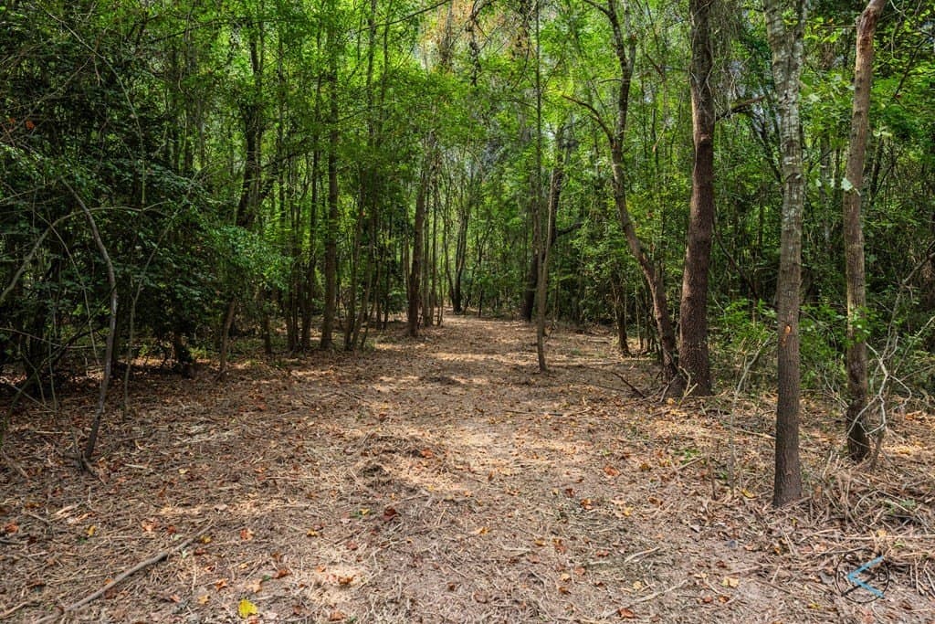 43.53 acres in Henderson County - photo 10