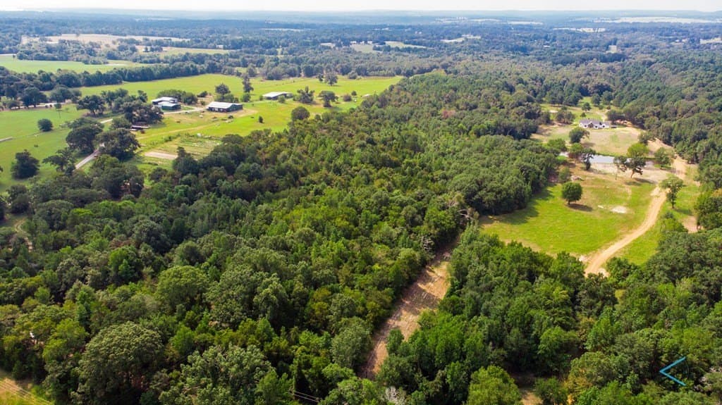 43.53 acres in Henderson County - photo 9